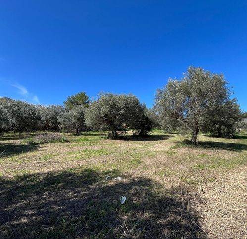 terreno agricolo in vendita a San Salvo