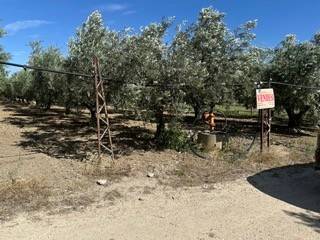 terreno agricolo in vendita a San Salvo