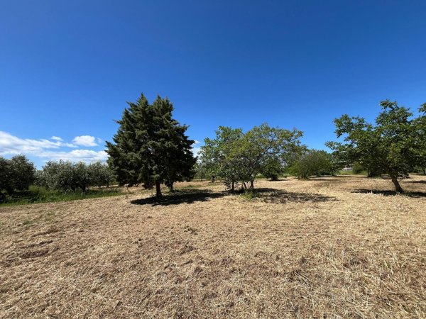 casa indipendente in vendita a San Salvo