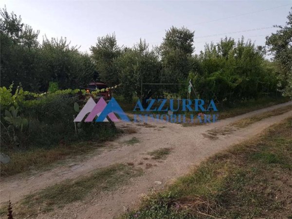 terreno agricolo in vendita a San Salvo