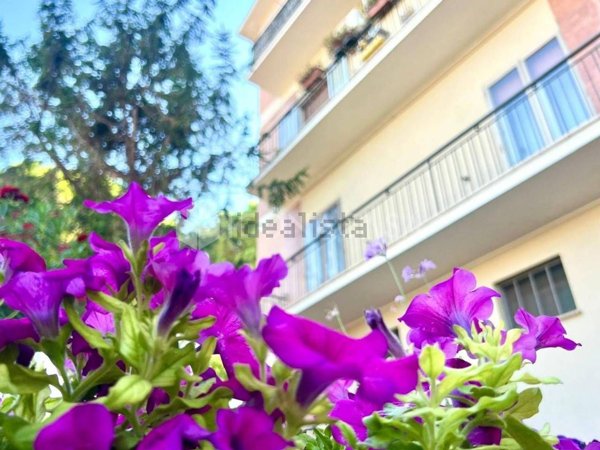 appartamento in vendita a San Salvo