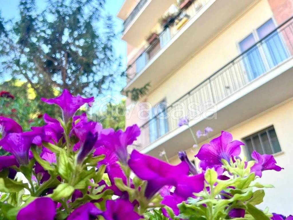 appartamento in vendita a San Salvo