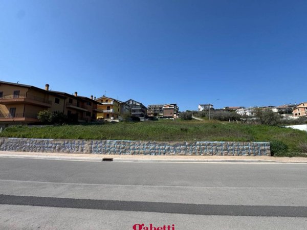 terreno agricolo in vendita a San Salvo