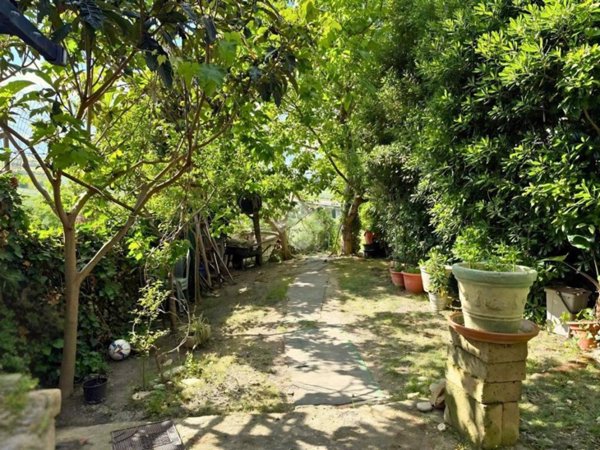 appartamento in vendita a San Salvo
