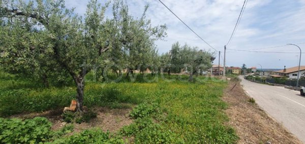 terreno agricolo in vendita a Santa Maria Imbaro