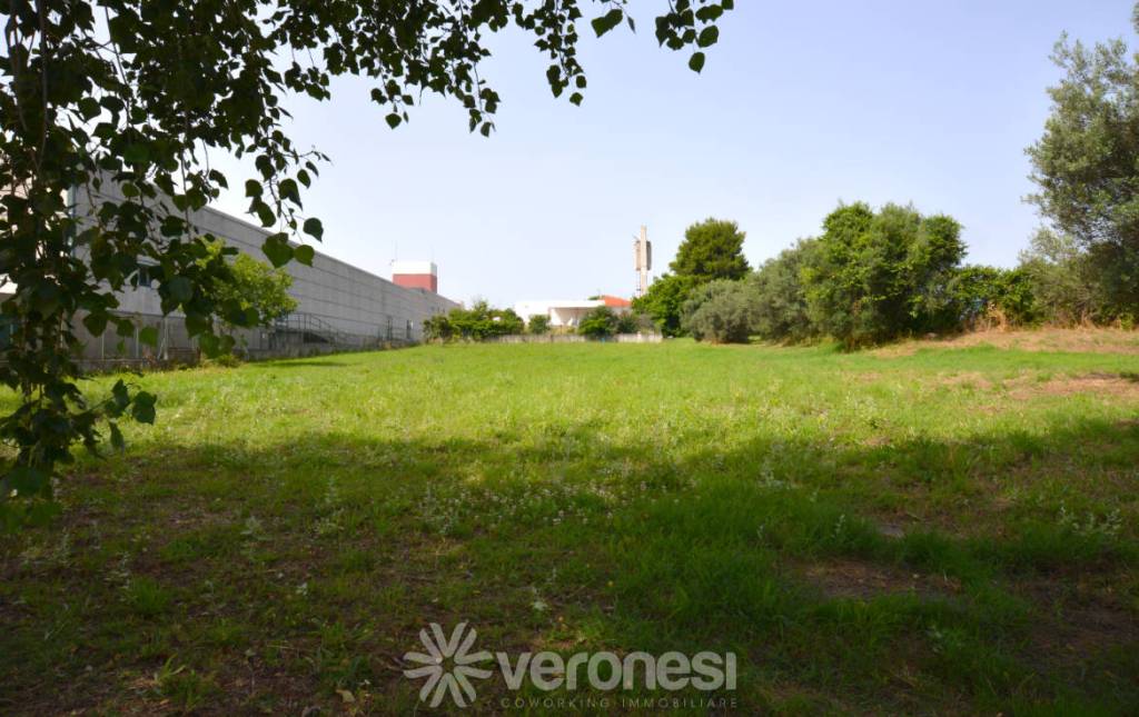 terreno agricolo in vendita a Santa Maria Imbaro