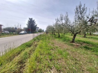 bifamiliare in vendita a Santa Maria Imbaro