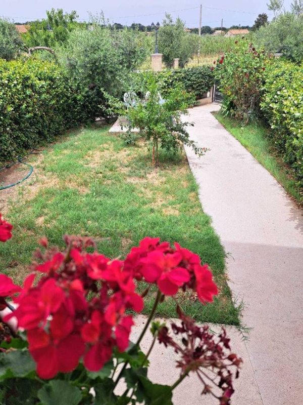 casa indipendente in vendita a Santa Maria Imbaro