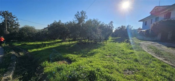 bifamiliare in vendita a Santa Maria Imbaro