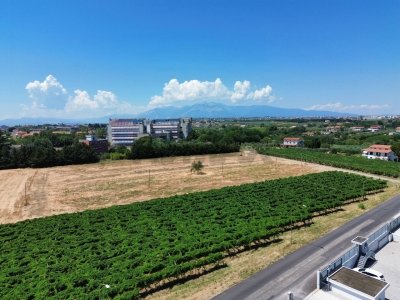 terreno edificabile in vendita a Santa Maria Imbaro