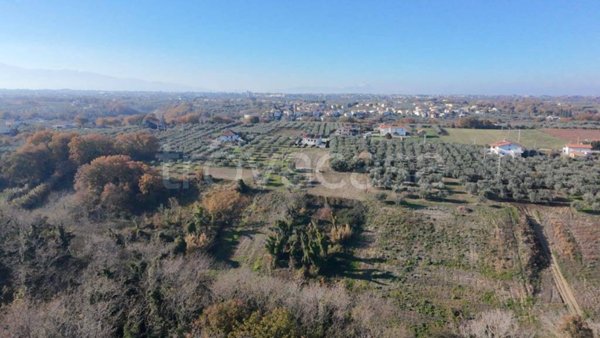 terreno agricolo in vendita a Santa Maria Imbaro