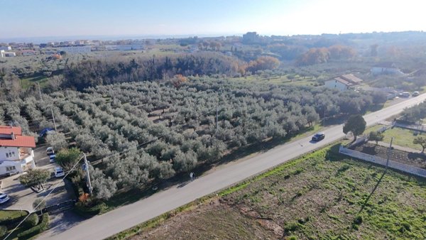terreno agricolo in vendita a Santa Maria Imbaro