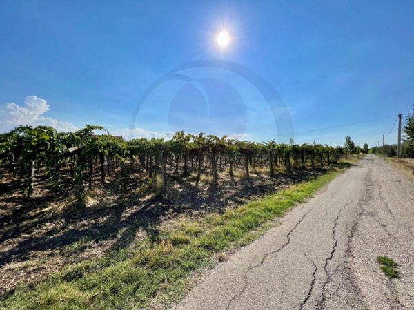 azienda agricola in vendita a Santa Maria Imbaro in zona Perilli