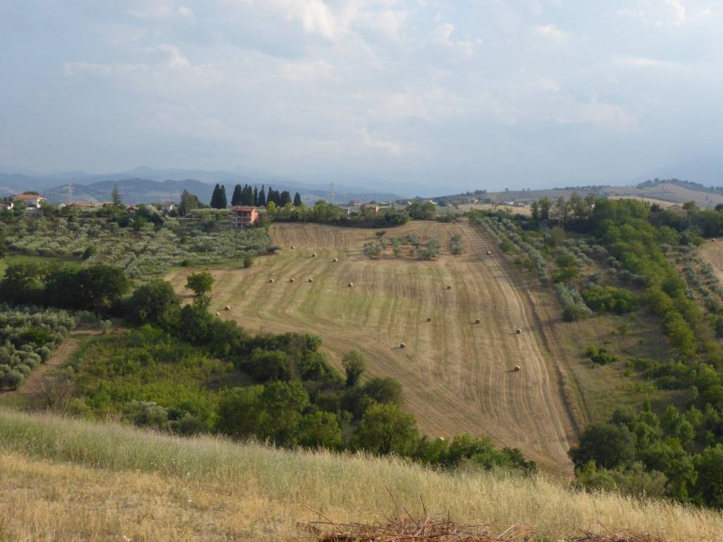 terreno agricolo in vendita a Sant'Eusanio del Sangro