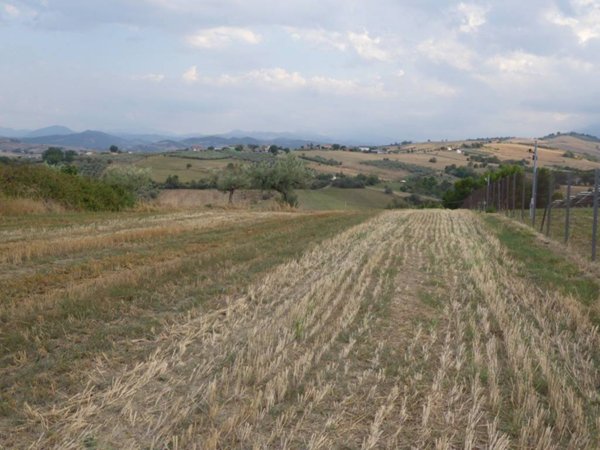 terreno agricolo in vendita a Sant'Eusanio del Sangro
