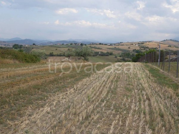 terreno agricolo in vendita a Sant'Eusanio del Sangro