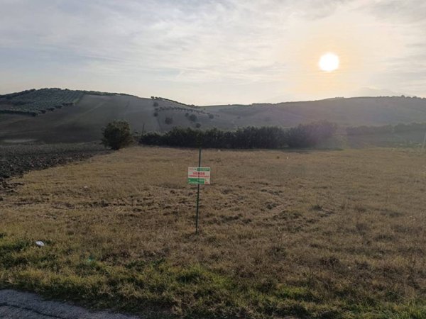 terreno agricolo in vendita a Sant'Eusanio del Sangro in zona Candeloro