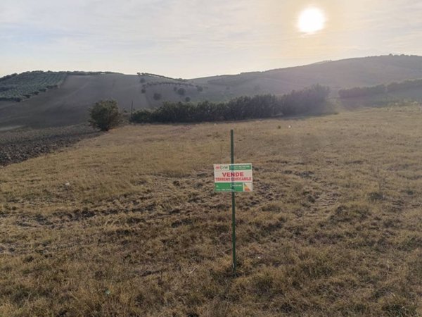 terreno agricolo in vendita a Sant'Eusanio del Sangro
