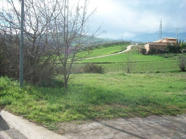terreno agricolo in vendita a Sant'Eusanio del Sangro
