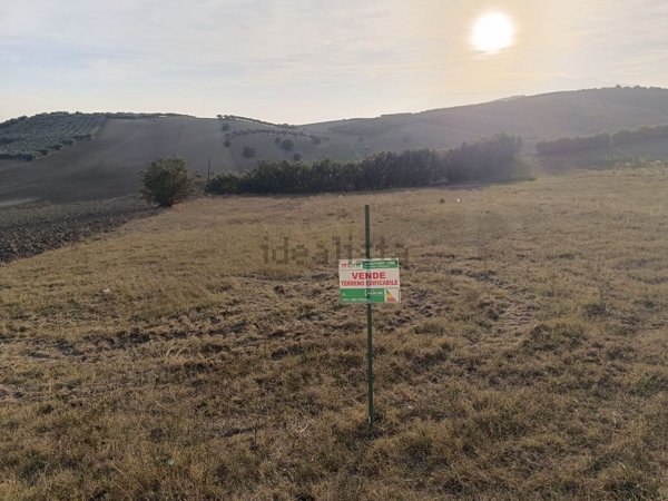 terreno agricolo in vendita a Sant'Eusanio del Sangro in zona Candeloro