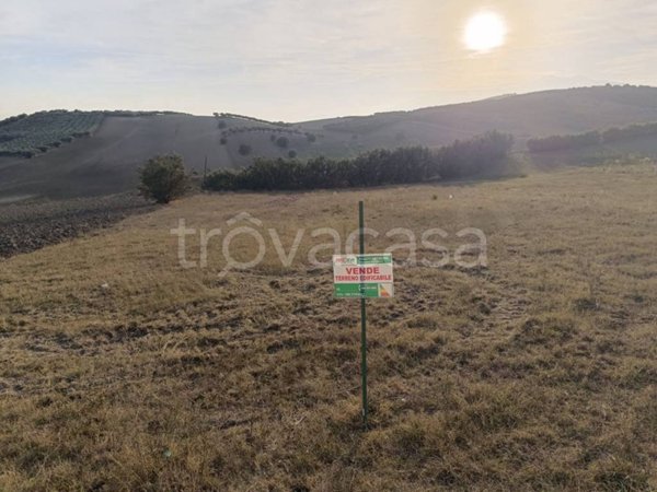 terreno agricolo in vendita a Sant'Eusanio del Sangro in zona Candeloro