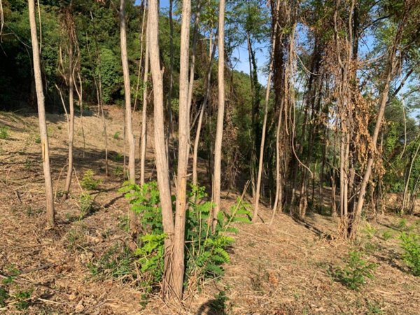 appartamento in vendita a San Vito Chietino in zona Marina di San Vito