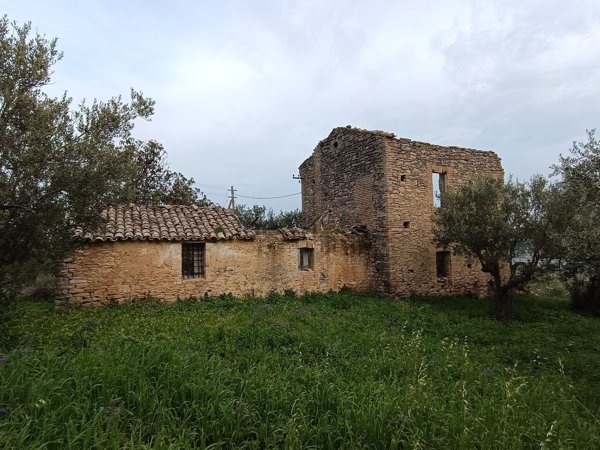 esavano in vendita a San Vito Chietino