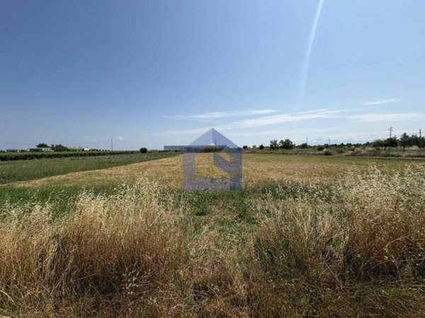 terreno agricolo in vendita a San Vito Chietino
