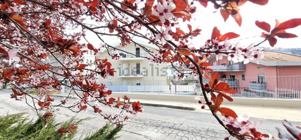 appartamento in vendita a San Vito Chietino in zona Marina di San Vito