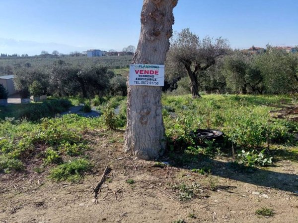 terreno agricolo in vendita a San Vito Chietino in zona Mancini