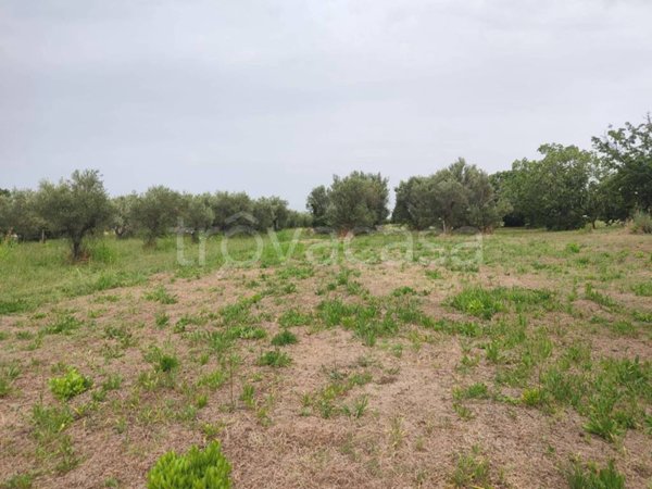 terreno agricolo in vendita a San Vito Chietino in zona Mancini