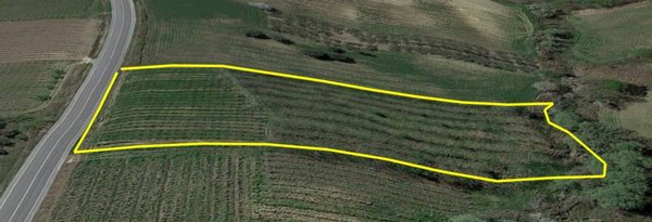 terreno agricolo in vendita a Scerni