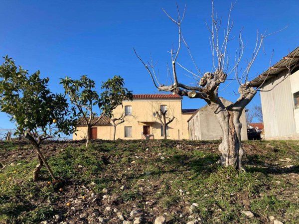 casa indipendente in vendita a Scerni