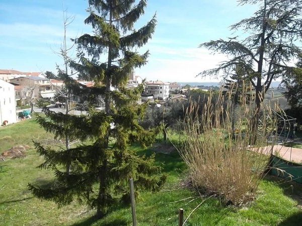 appartamento in vendita a Scerni