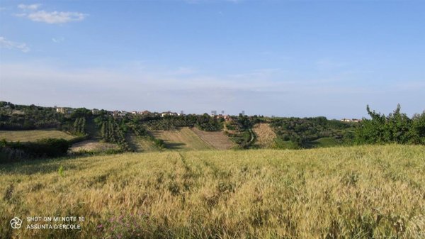 terreno edificabile in vendita a Scerni