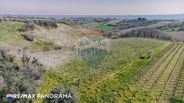 terreno agricolo in vendita a Scerni