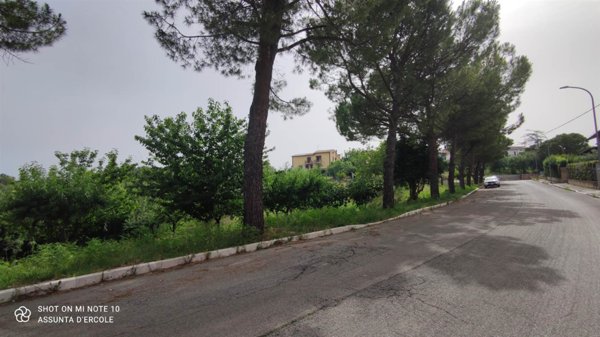 terreno agricolo in vendita a Scerni in zona San Giacomo