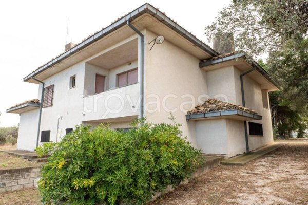 immagine annuncio 0 di 15