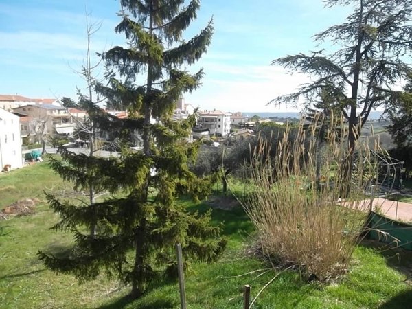 terreno agricolo in vendita a Scerni in zona San Giacomo
