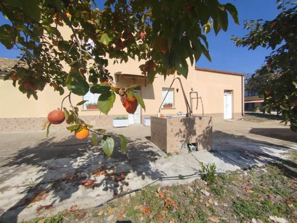 appartamento in vendita a Scerni in zona Fontenuova