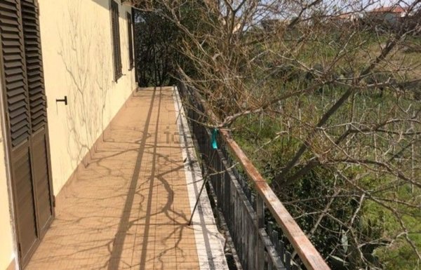 pentavano in vendita a Tollo