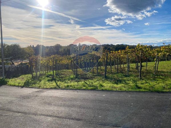terreno agricolo in vendita a Tollo