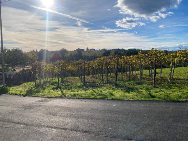 terreno agricolo in vendita a Tollo