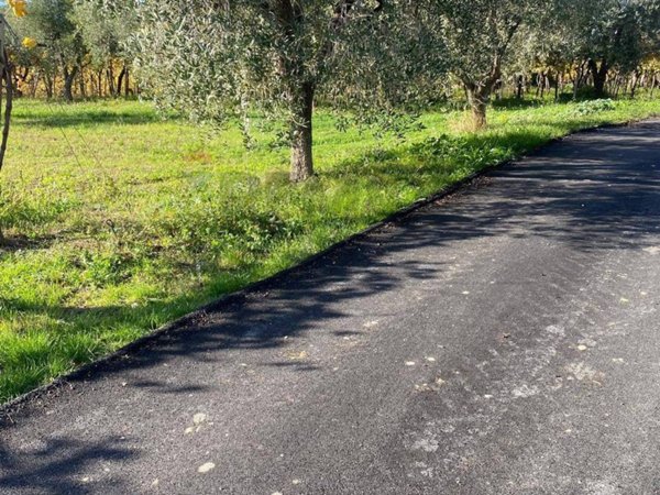 terreno agricolo in vendita a Tollo