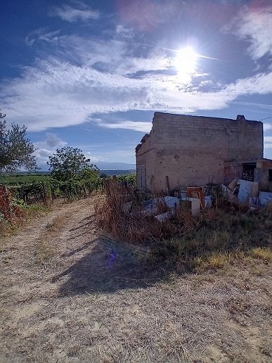 terreno agricolo in vendita a Tollo in zona Santa Lucia
