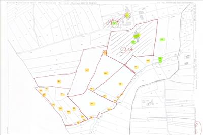 terreno agricolo in vendita a Torino di Sangro in zona Morticcio