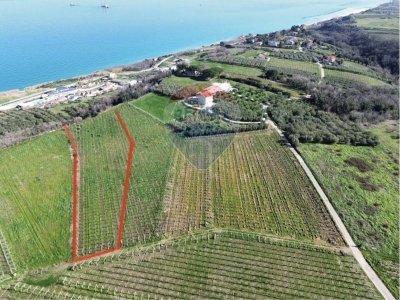 terreno agricolo in vendita a Torino di Sangro