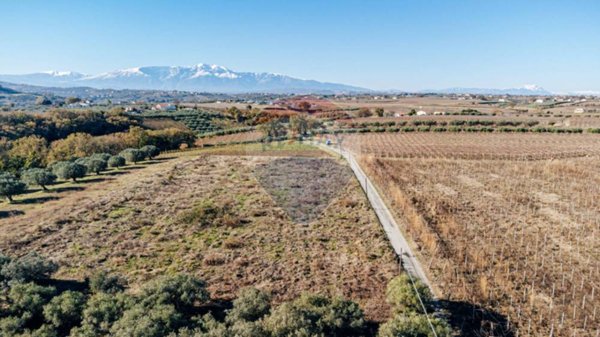 terreno agricolo in vendita a Torino di Sangro in zona San Tommaso