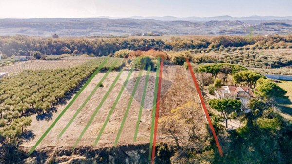 terreno agricolo in vendita a Torino di Sangro