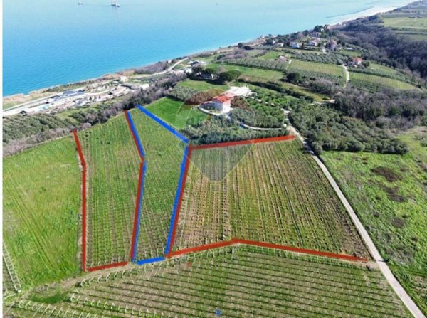 terreno agricolo in vendita a Torino di Sangro